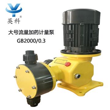 GB2000/0.3雙隔膜計(jì)量泵